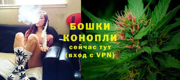 бошки Белокуриха