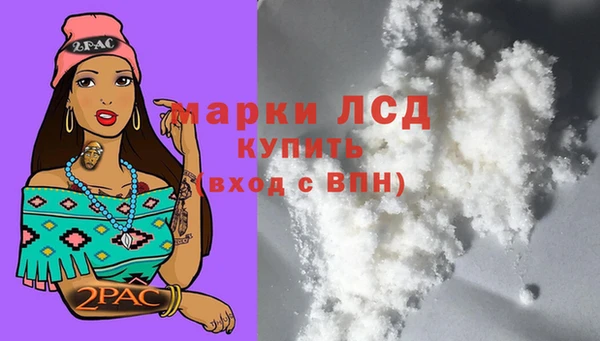 бошки Белокуриха