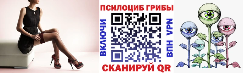 где найти наркотики  Высоковск  ОМГ ОМГ ТОР  Псилоцибиновые грибы GOLDEN TEACHER 