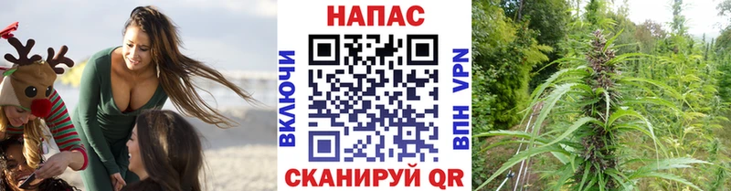 где купить наркоту  Высоковск  Каннабис OG Kush 